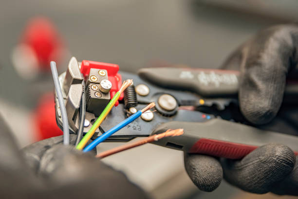 Best Local Electrician Companies  in Frisco City, AL