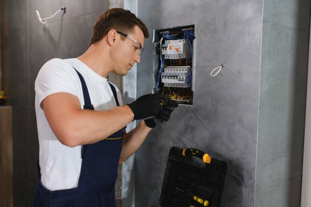 Best Electrical System Inspection  in Frisco City, AL